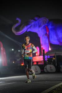 BIB: 
                            <button type="button" onclick="openModal(26531214)" class="btn btn-primary btn-sm float-right btn-popup" data-toggle="modal" data-target=".modal-high-quality">
                        <i class="fas fa-shopping-cart"></i> Add to Cart
                    </button>
                                            <button type="button" onclick="isThisMe(26531214, true)" class="btn btn-success btn-sm float-right btn-popup btn-isme hidden" data-toggle="tooltip" data-placement="bottom" title="นี่คือรูปของคุณใช่ไหม คลิกที่นี่เพื่อเอาเข้าอัลบั้ม">
                        <i class="fas fa-plus"></i> Add to album
                    </button>
                    <button type="button" onclick="isThisMe(26531214, false)" class="btn btn-warning btn-sm float-right btn-popup btn-isnotme hidden">
                        <i class="fas fa-ban"></i> Remove from album
                    </button>